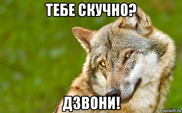 тебе скучно? дзвони!, Мем   Volf