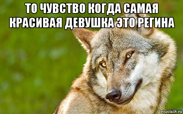 то чувство когда самая красивая девушка это регина , Мем   Volf