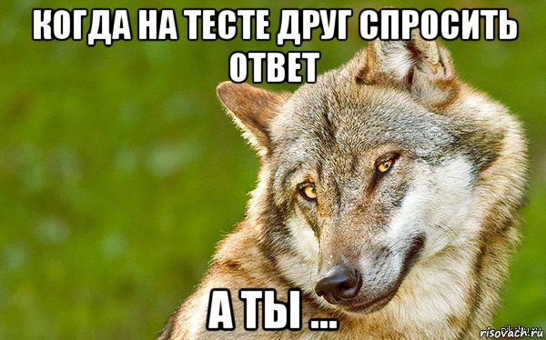 когда на тесте друг спросить ответ а ты ..., Мем   Volf