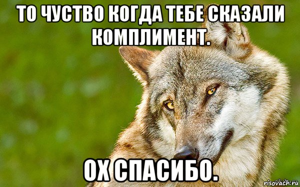 то чуство когда тебе сказали комплимент. ох спасибо., Мем   Volf