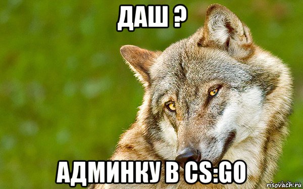 даш ? админку в cs:go, Мем   Volf