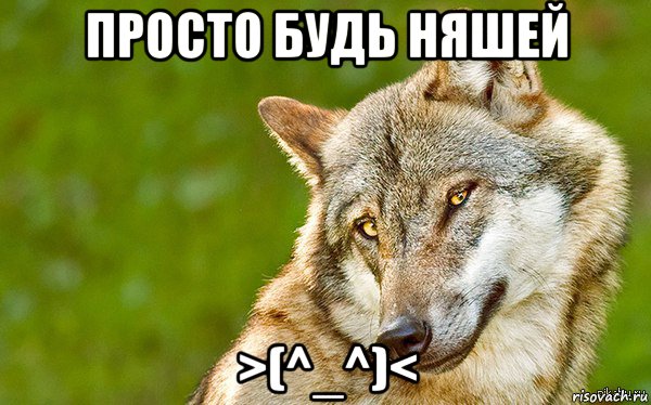 просто будь няшей >(^_^)<, Мем   Volf