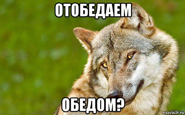 отобедаем обедом?, Мем   Volf