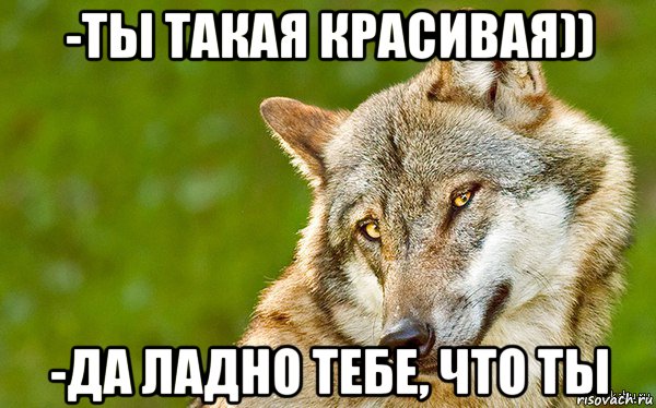 -ты такая красивая)) -да ладно тебе, что ты, Мем   Volf