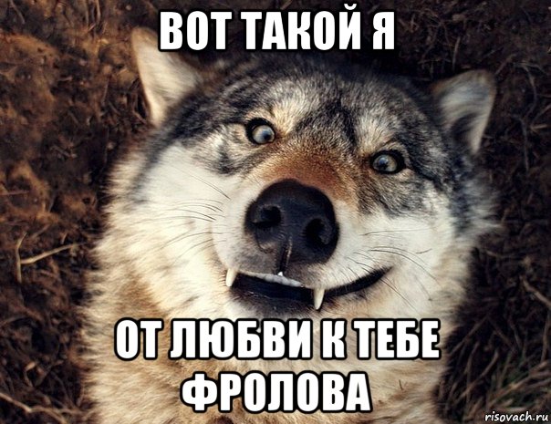 вот такой я от любви к тебе фролова, Мем Волк