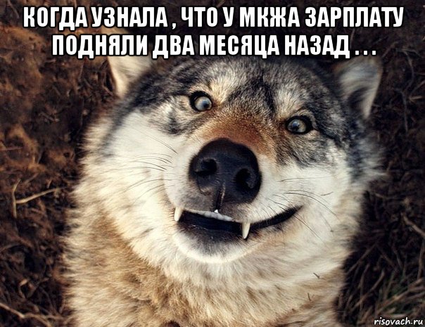 когда узнала , что у мкжа зарплату подняли два месяца назад . . . , Мем Волк