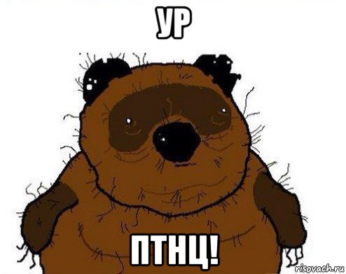 ур птнц!, Мем вонни