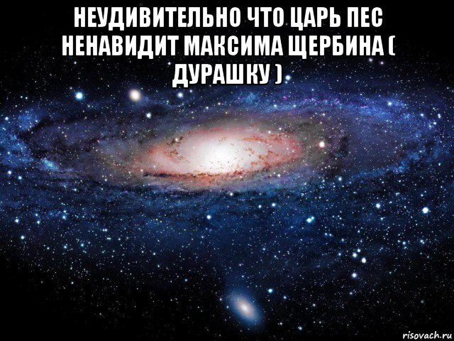 неудивительно что царь пес ненавидит максима щербина ( дурашку ) , Мем Вселенная