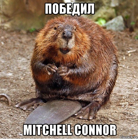 победил mitchell connor, Мем Всем бобра D