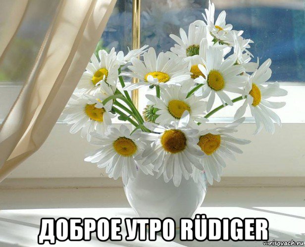  доброе утро rüdiger, Мем xddddd