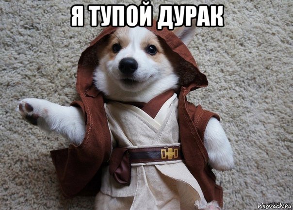 я тупой дурак , Мем Я та собака