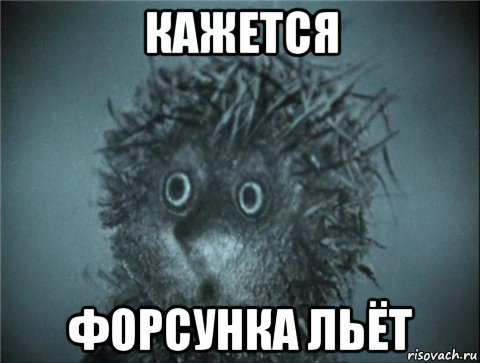 кажется форсунка льёт, Мем Ежик в тумане