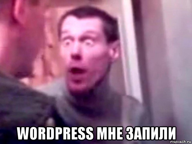  wordpress мне запили, Мем Запили