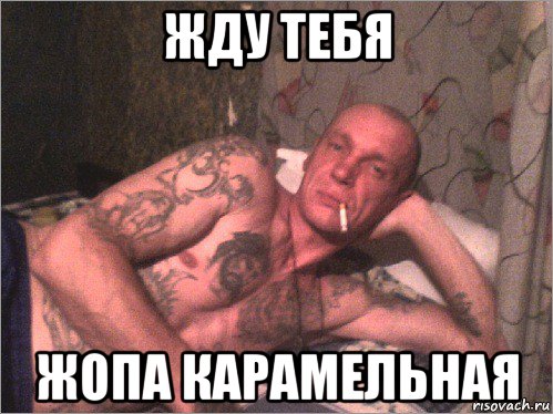 жду тебя жопа карамельная, Мем Зек