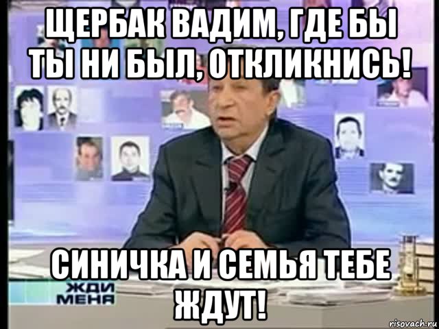 щербак вадим, где бы ты ни был, откликнись! синичка и семья тебе ждут!