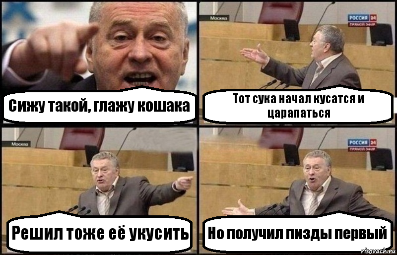 Сижу такой, глажу кошака Тот сука начал кусатся и царапаться Решил тоже её укусить Но получил пизды первый, Комикс Жириновский