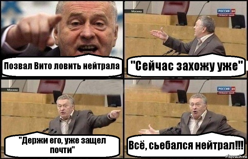 Позвал Вито ловить нейтрала "Сейчас захожу уже" "Держи его, уже защел почти" Всё, сьебался нейтрал!!!, Комикс Жириновский