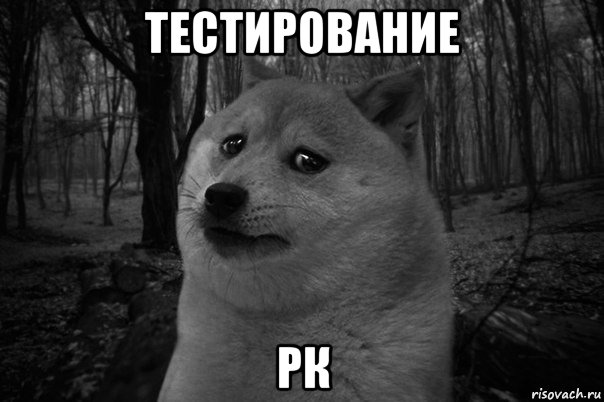 тестирование рк, Мем жизнь тлен