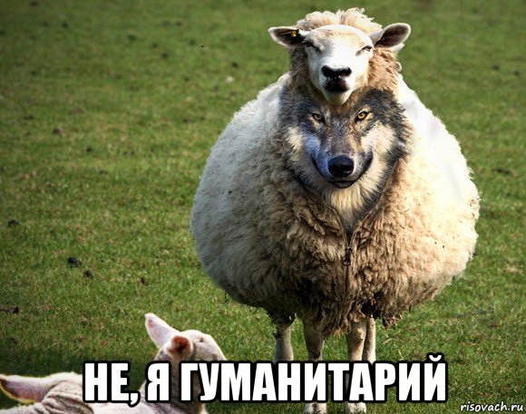  не, я гуманитарий, Мем Злая Овца