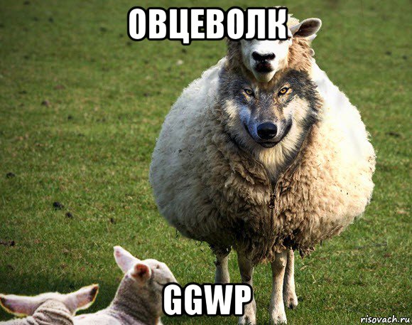 овцеволк ggwp, Мем Злая Овца