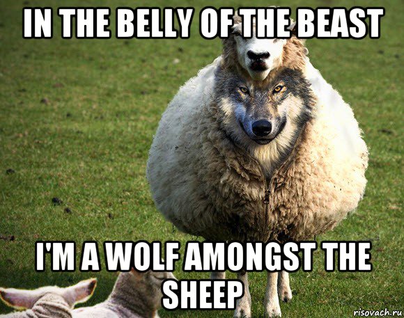 in the belly of the beast i'm a wolf amongst the sheep, Мем Злая Овца
