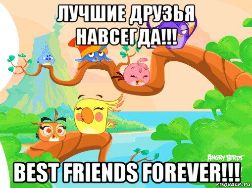 Luchshie Druzya Navsegda Best Friends Forever Mem Zlye Pticy Stella Angry Birds Stella Risovach Ru