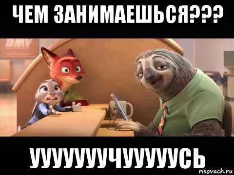 чем занимаешься??? ууууууучууууусь
