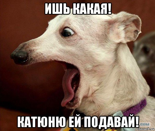 ишь какая! катюню ей подавай!