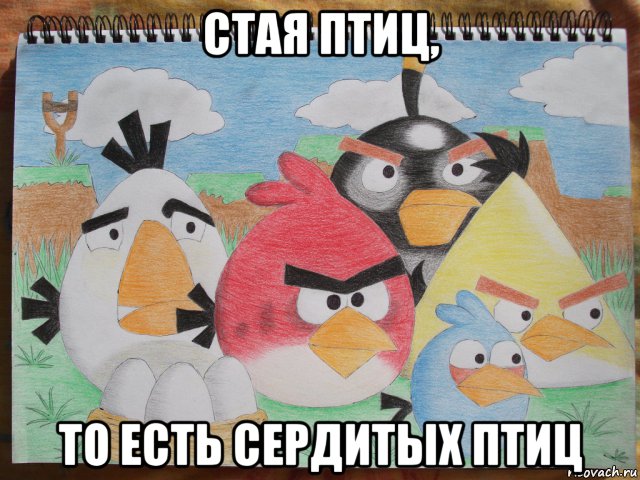 стая птиц, то есть сердитых птиц