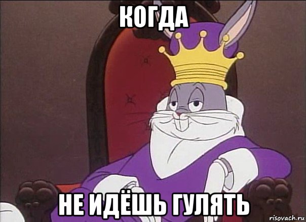 когда не идёшь гулять, Мем Бакс король