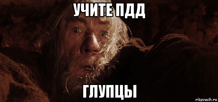 учите пдд глупцы, Мем Бегите глупцы