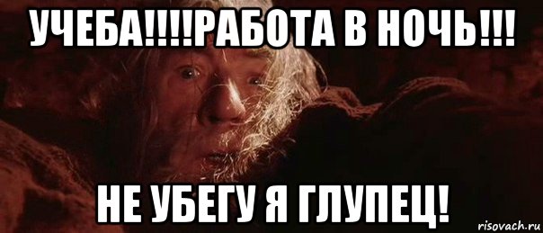 учеба!!!!работа в ночь!!! не убегу я глупец!, Мем бегите глупцы