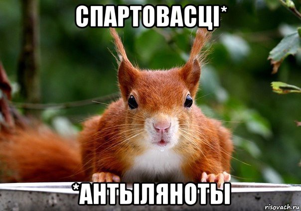 спартовасці* *антыляноты