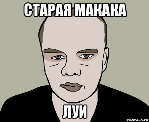 старая макака луи