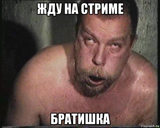 жду на стриме братишка