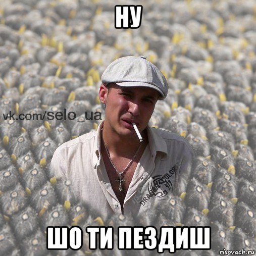ну шо ти пездиш