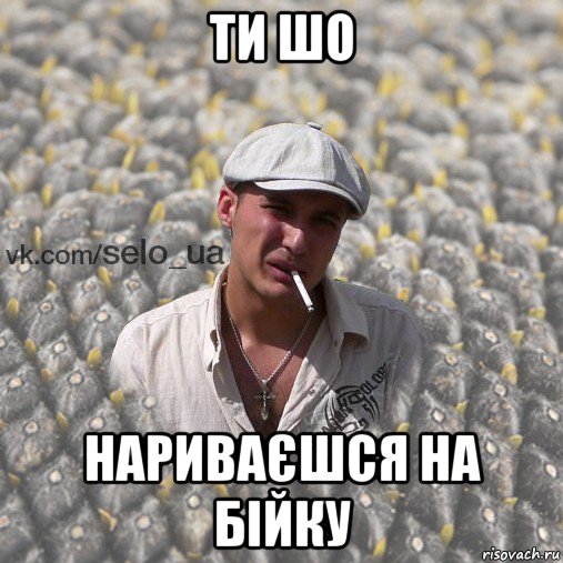 ти шо нариваєшся на бійку