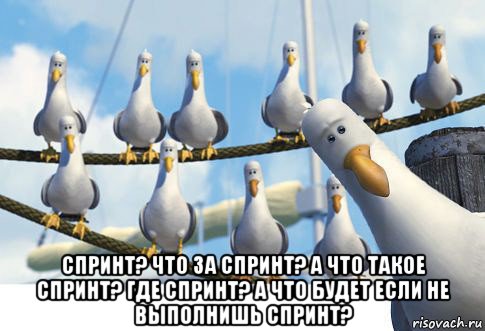  спринт? что за спринт? а что такое спринт? где спринт? а что будет если не выполнишь спринт?