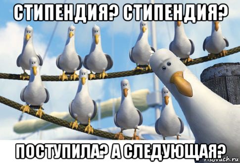 стипендия? стипендия? поступила? а следующая?