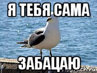я тебя сама забацаю