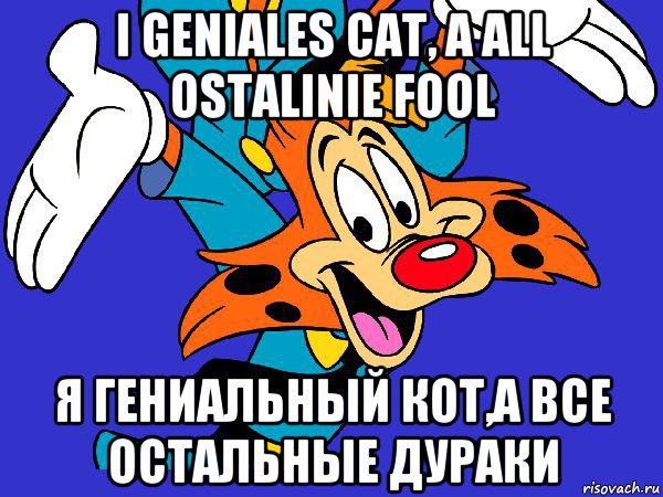 i geniales cat, a all ostalinie fool я гениальный кот,а все остальные дураки