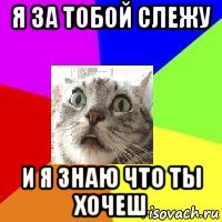 я за тобой слежу и я знаю что ты хочеш