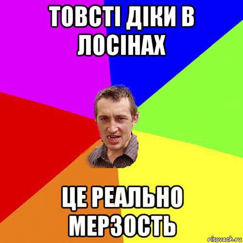 товсті діки в лосінах це реально мерзость, Мем Чоткий паца