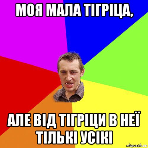 моя мала тігріца, але від тігріци в неї тількі усікі, Мем Чоткий паца