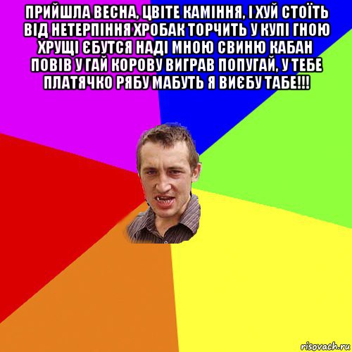 прийшла весна, цвіте каміння, і хуй стоїть від нетерпіння хробак торчить у купі гною хрущі єбутся наді мною свиню кабан повів у гай корову виграв попугай, у тебе платячко рябу мабуть я виєбу табе!!! , Мем Чоткий паца