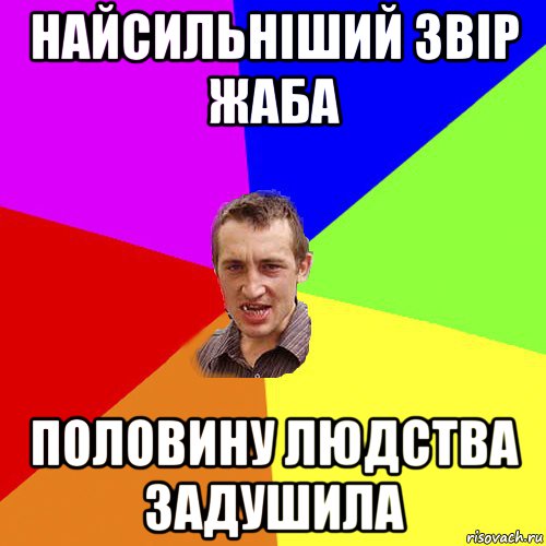 найсильніший звір жаба половину людства задушила, Мем Чоткий паца