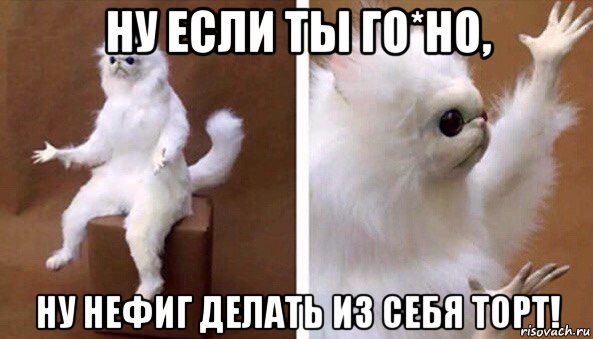 ну если ты го*но, ну нефиг делать из себя торт!, Мем Чучело кота