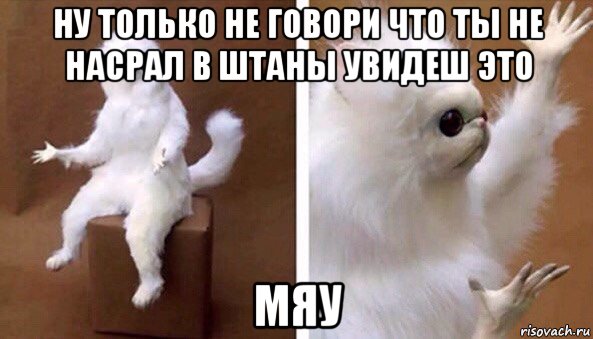 ну только не говори что ты не насрал в штаны увидеш это мяу, Мем Чучело кота