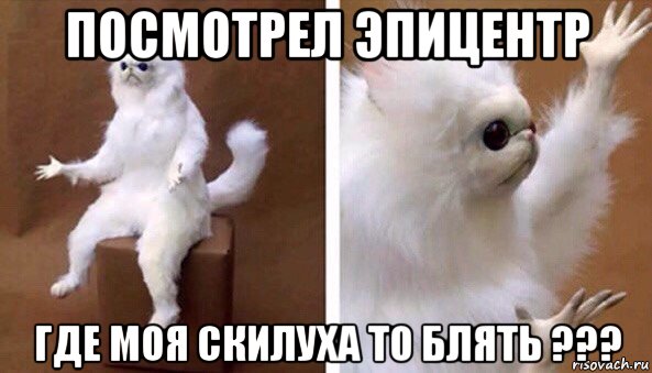 посмотрел эпицентр где моя скилуха то блять ???, Мем Чучело кота