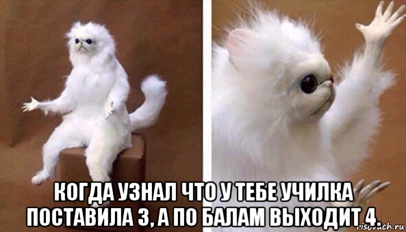  когда узнал что у тебе училка поставила 3, а по балам выходит 4., Мем Чучело кота